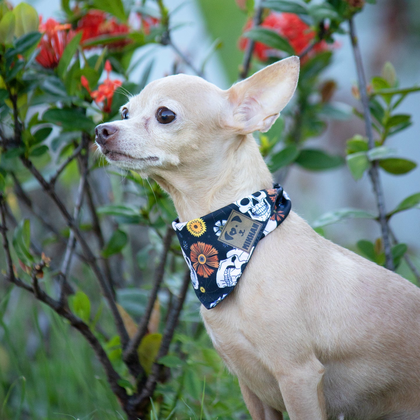 Bandana día de muertos negro calaveras y flores
