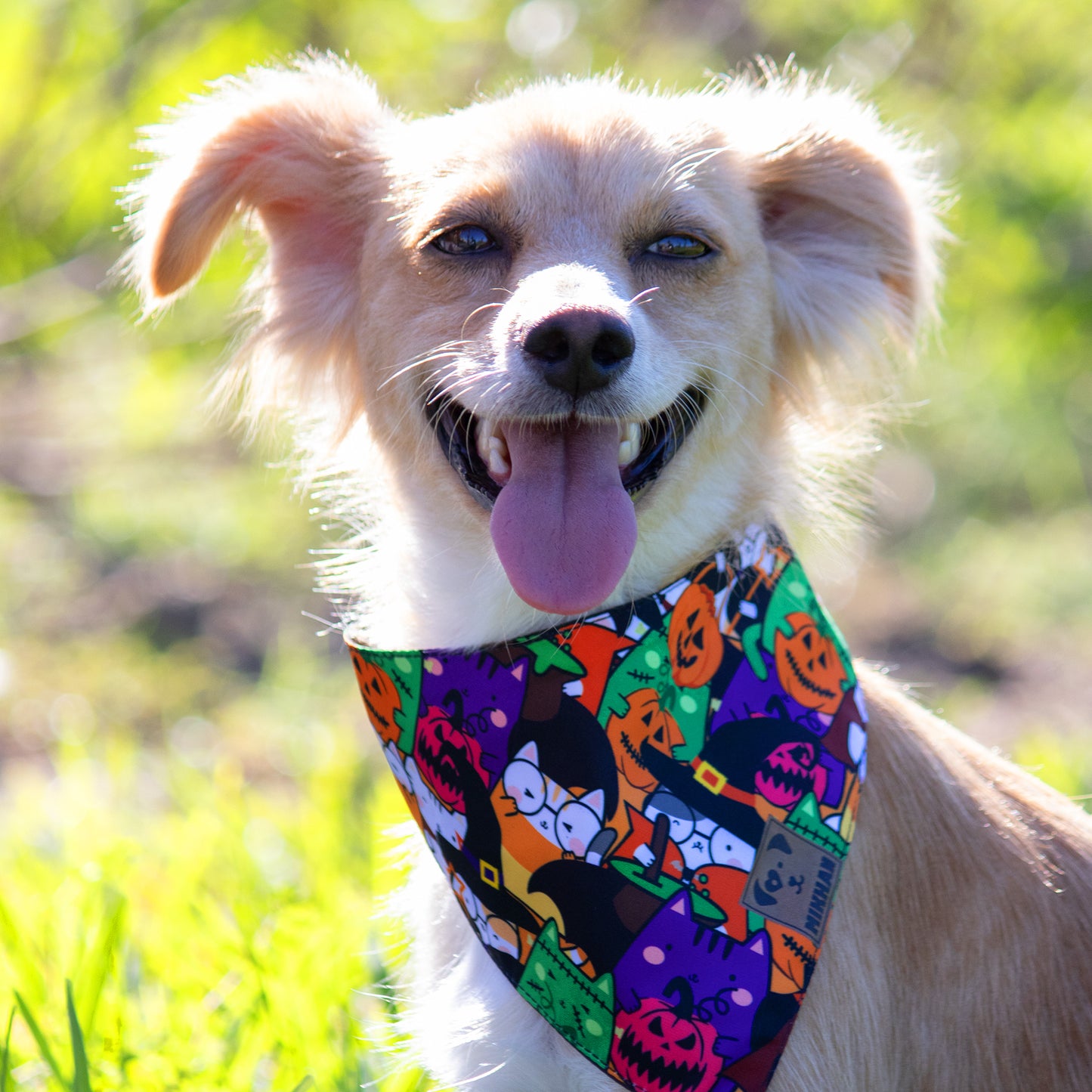 Bandana día de muertos negro halloween