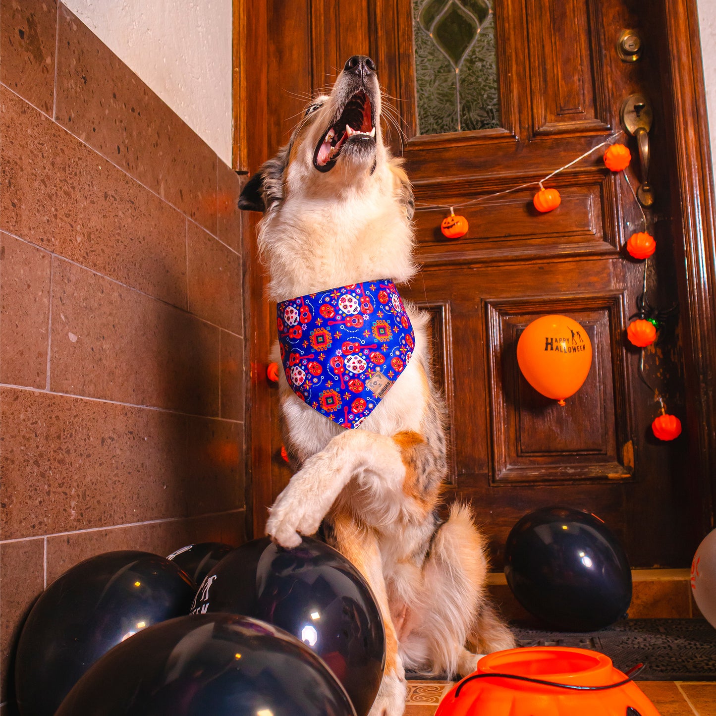 Bandana día de muertos rey con calaveras
