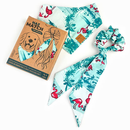 Match flamingo azul aqua